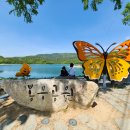 대구선 동촌공원 이미지