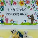 멍뭉호텔 이미지