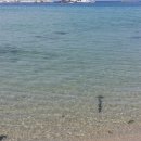 도깨비민박 이미지