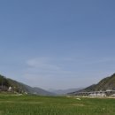 옹달샘커피맥주
