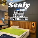 오랑개 용인흥덕점 | 아울렛보다도 저렴했던 씰리침대 용인흥덕점 구매후기 최저가 매장(신혼부부 침대추천/내돈내산)