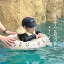 돌아기 튜브로 추천하는 쿵스쿵스 보행기튜브 워터파크 후기