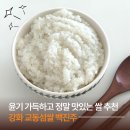 강화농산 | 교동이수농산 강화 교동섬쌀 백진주ㅣ밥이 정말 맛있는 쌀 추천