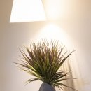 임찬한한의원 이미지