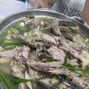 보은장 | 안양 유원지 맛집 추천｜계곡에서 즐기는 백숙 맛집 보은장식당 솔직후기