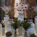 포시즌(4SEASONS) 이미지