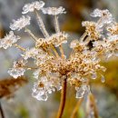 겨울이야기 이미지