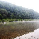 숲속에서 캠핑장 이미지