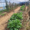 권관농장 이미지