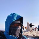 ChatGPT로 사진 변환 해보기~ 이미지