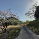 사창리터미널 이미지