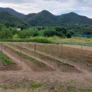 이성찬농장 이미지