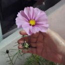 본우리집밥 국민염창점 | 시작✨/ 뽀리 2kg 돌파👶 / 집정리·아기방 세팅(한샘보나구매후기) / 출산휴가/ 운동·집밥·빨래 루틴 정착