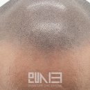 더디자인선 이미지