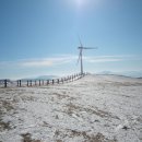 충일목장 이미지