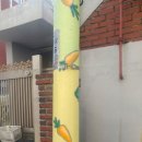 장말공원 이미지