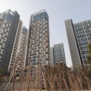 이편한일광스타공인중개사사무소 이미지