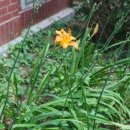 부경고등학교 이미지