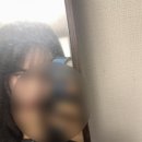 청양프로폴리스 | 나비효과 🦋
