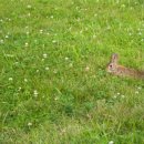 [1급과정] 독서지도사 1급 이미지
