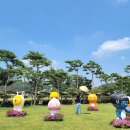 회산백련지 잔디광장 이미지