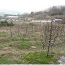 건영태양광발전소 이미지