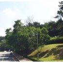 능곡동 어린이공원 이미지