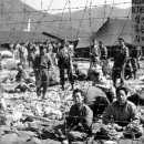 DMZ체육관 이미지