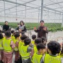 스마트유치원 이미지