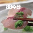 부산수산 | 부산 명지횟집 88수산 후기 도다리 밀치 활어회 포장 맛집 추천 주차장 안내