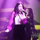 스타리그 이미지