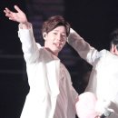 쌀강아지 이미지