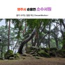 순흥향교 | 영주시 순흥면 소수서원