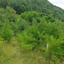 동네농장(2) 이미지