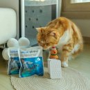 고양이집:고집 | 고양이펫드라이룸 전기 없어도 작동되는 고체산소 퐁고 환기캡슐 후기