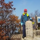 공주삼불봉과익산국화축제 이미지