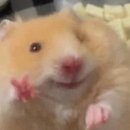 솔솔 | Wedding 9 ꔫ우리의 아이폰스냅을 찾아서 [메리빌리아 수원/솔솔스냅 계약후기/짝꿍코드o]