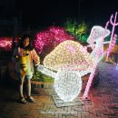 표선면 동산식당 이미지