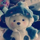 Bear in shark outfit 이미지