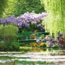 지베르니 이미지