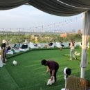 아이러브퍼피 이미지