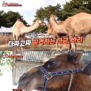 다금농장 이미지