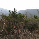 한일초교 이미지