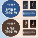 폴프로필 장인 하음파파 스튜디오 출장 촬영 후기 - 대전 제이폴댄스