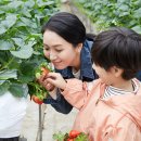 가좌농장 이미지