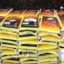 청호동주민센터 이미지