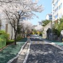 하늘소공인중개사사무소 이미지