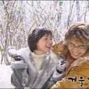 취향 이미지
