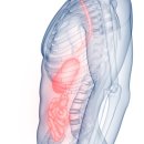 풀과나무한의원 이미지