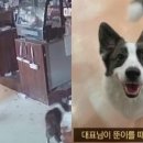 쥬인더시티